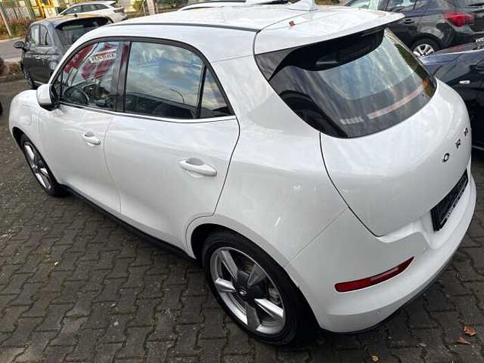 Great Wall Motor Ora 03 300