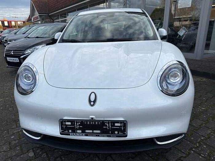 Great Wall Motor Ora 03 300